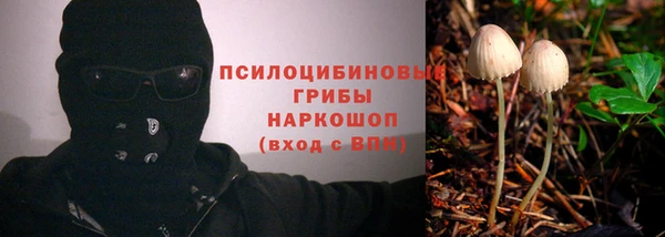 гашик Нягань