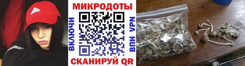 Галлюциногенные грибы Psilocybine cubensis  купить закладку  Покров 